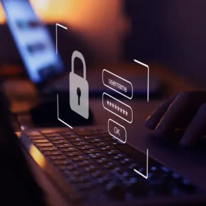 Online payment security