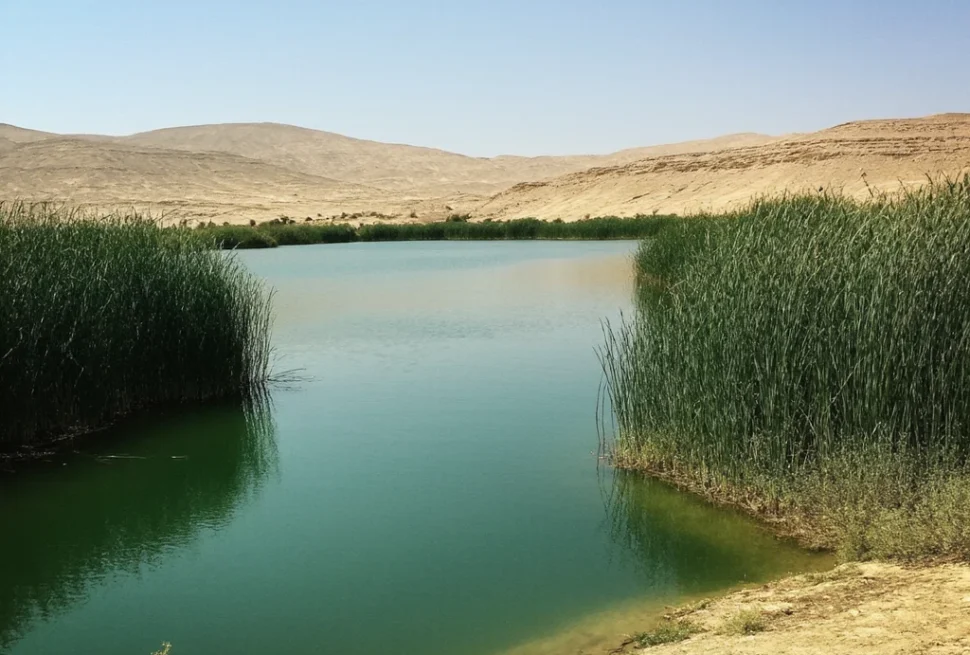 bahariya oasis egypt