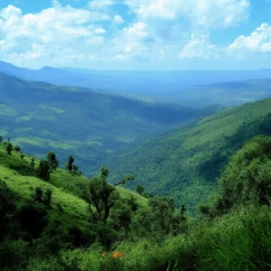 uganda