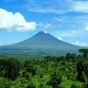 uganda